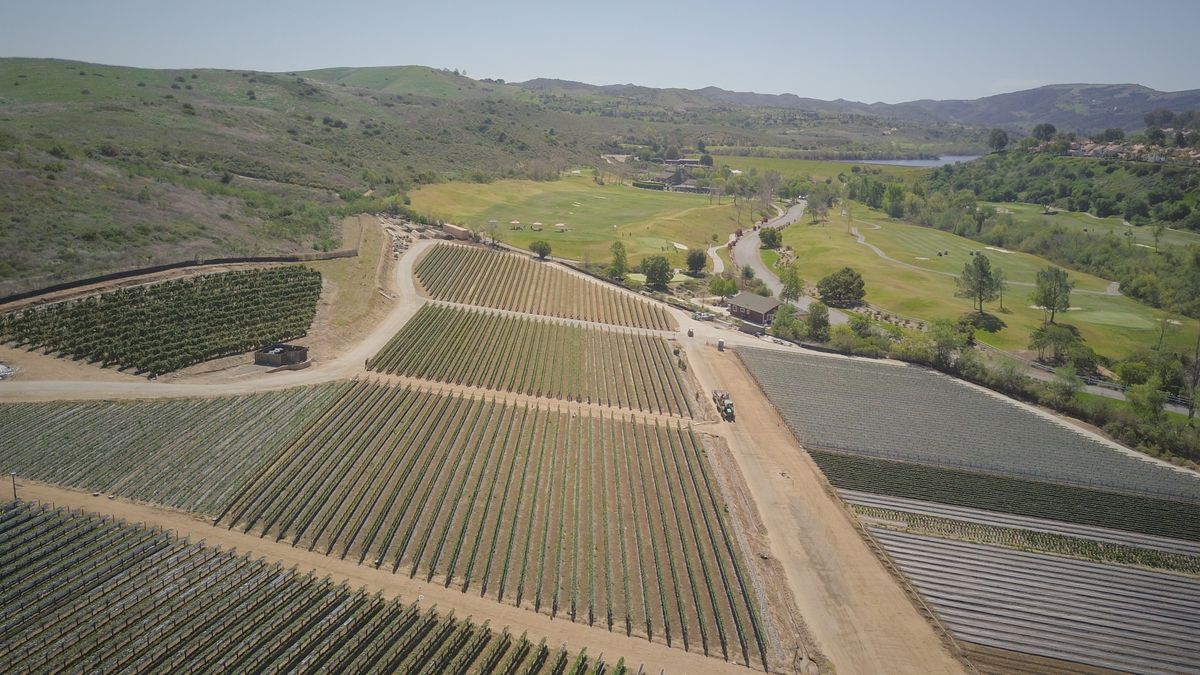 Mapping and Survey UAV